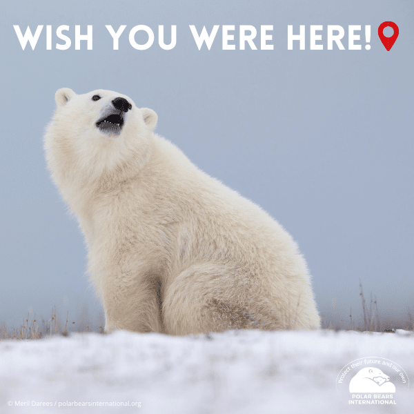 "Wish You Were Here" eCard image 0