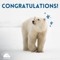 "Congratulations" eCard image 0