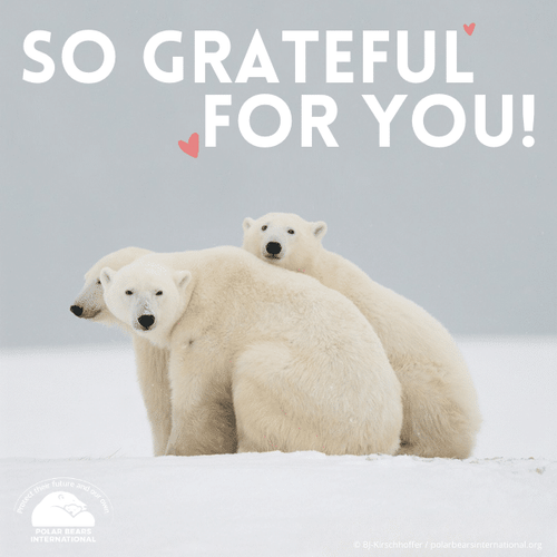 "Grateful for You" eCard image 0