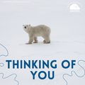 "Thinking of You" eCard image 0