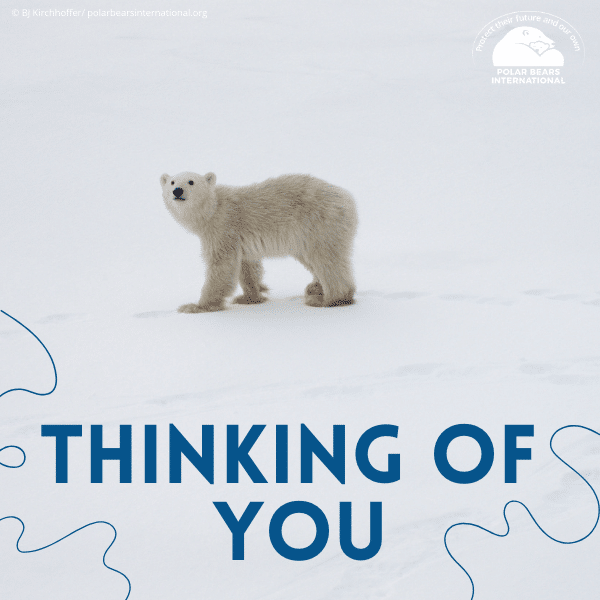 "Thinking of You" eCard image 0