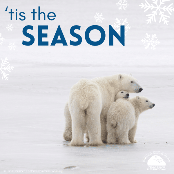 "Tis The Season" eCard image 0
