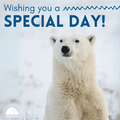 "Wishing You a Special Day" eCard image 0