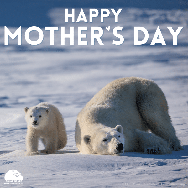 "Mother's Day" eCard image 0