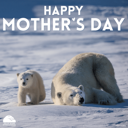 "Mother's Day" eCard image 0