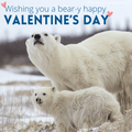 "Bear-y Happy Valentine's Day" eCard image 0