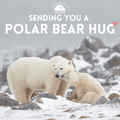 "Sending A Polar Bear Hug" eCard image 0