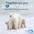 "Together We Give" eCard - Giving Tuesday image 0