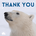 "Thank You" eCard image 0