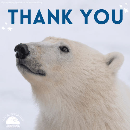 "Thank You" eCard image 0