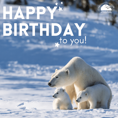 "Happy Birthday" eCard image 0
