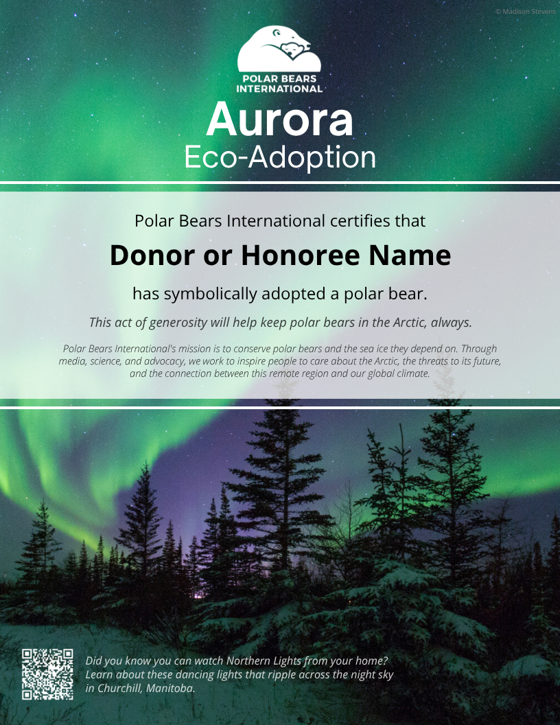 Aurora Eco-Adoption