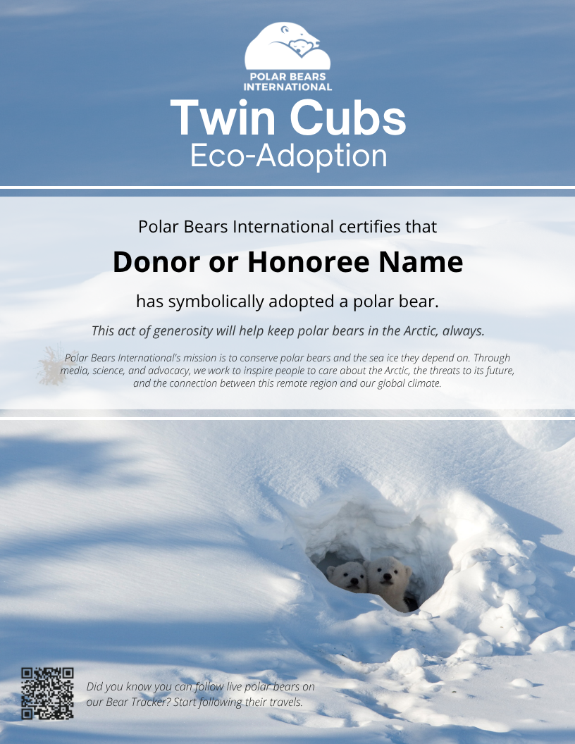 Twin Cubs Eco-Adoption