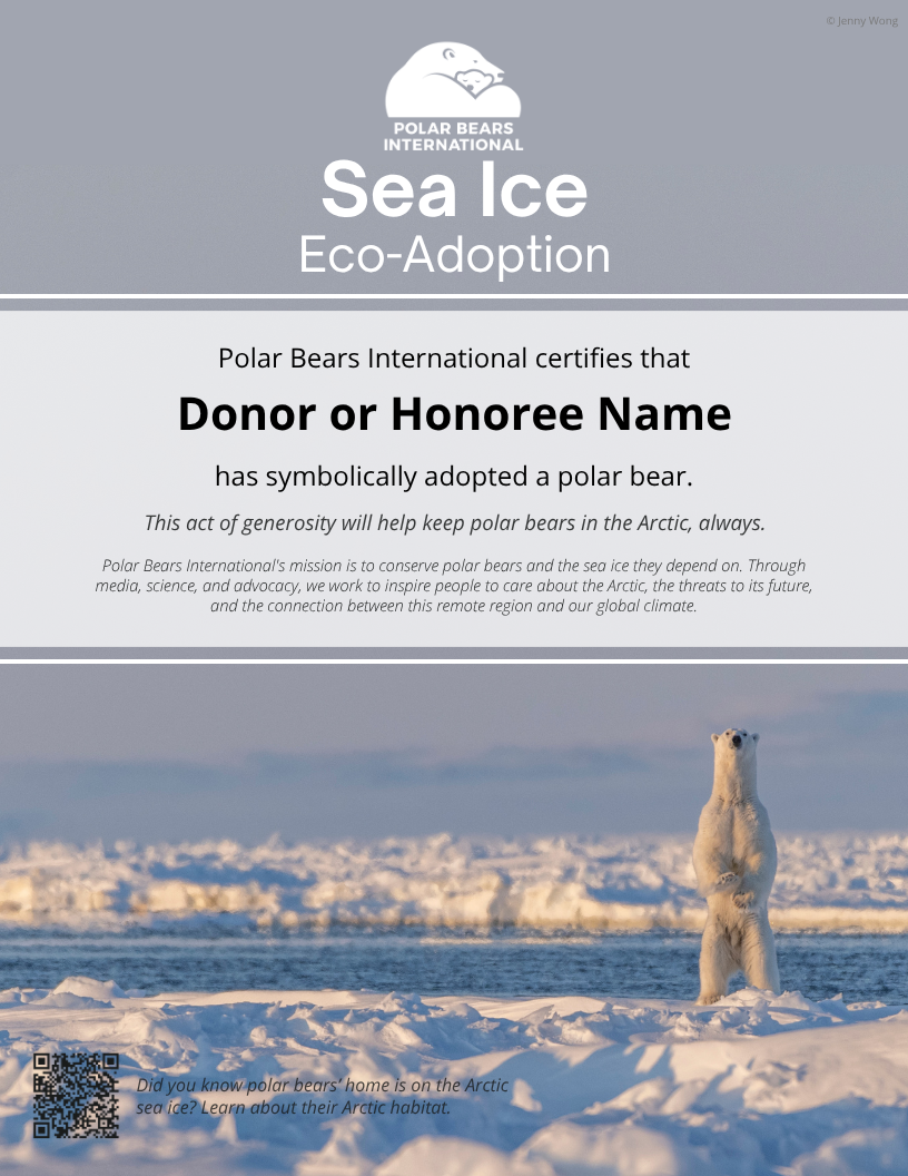 Sea Ice Eco-Adoption