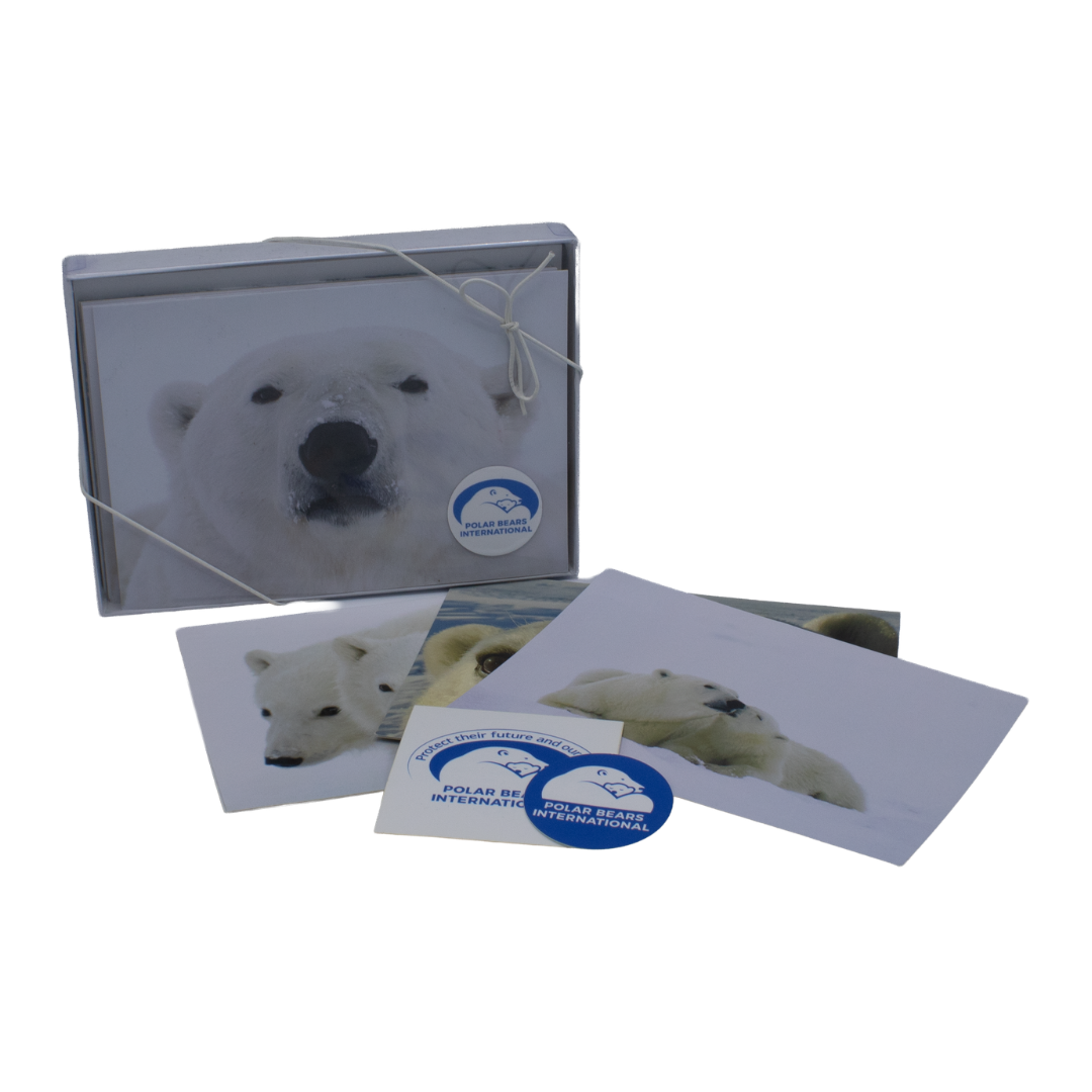 Arctic Documentary Project Notecard Kit