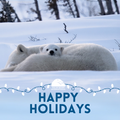 "Happy Holidays from All of Us" eCard