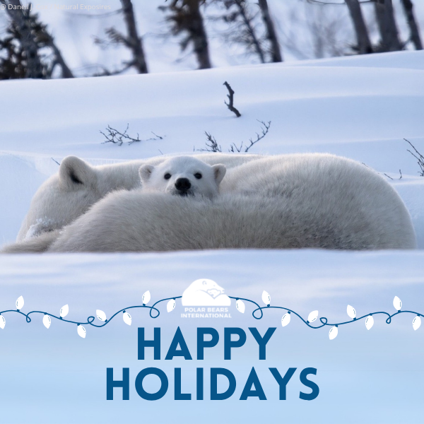 "Happy Holidays from All of Us" eCard