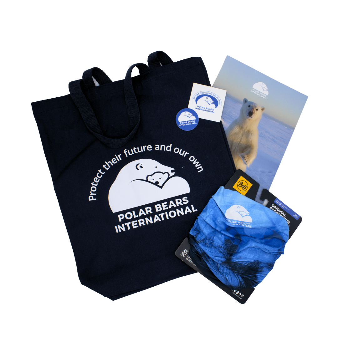 Polar Expedition Kit