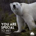 "You Are Special" eCard image 0