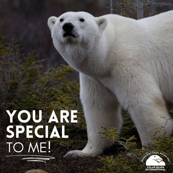 "You Are Special" eCard image 0