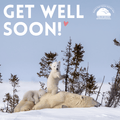 "Get Well Soon" eCard image 0