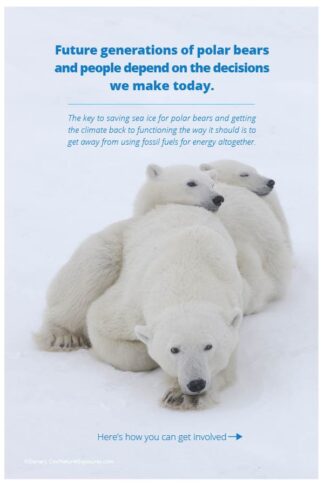 Adult Solutions Rack Card