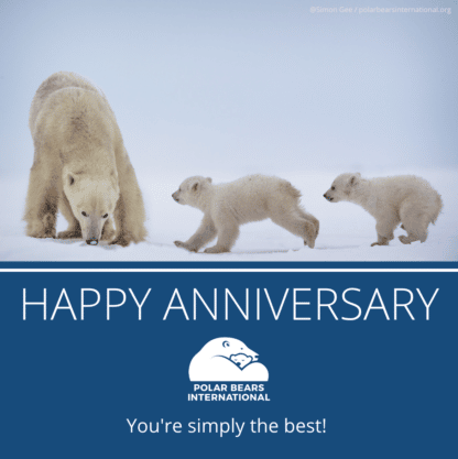 Happy Anniversary - Foundation & Zoo Partner Celebration eCard