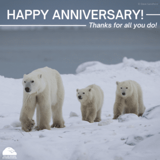 Staff & Board "Happy Anniversary" eCard