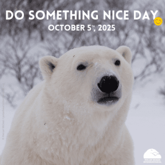 "Do Something Nice Day" eCard