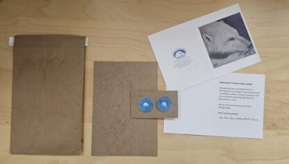 Arctic Circle Legacy Pin Kit